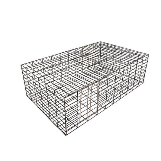 Multi Catch Pigeon Trap- Rigid