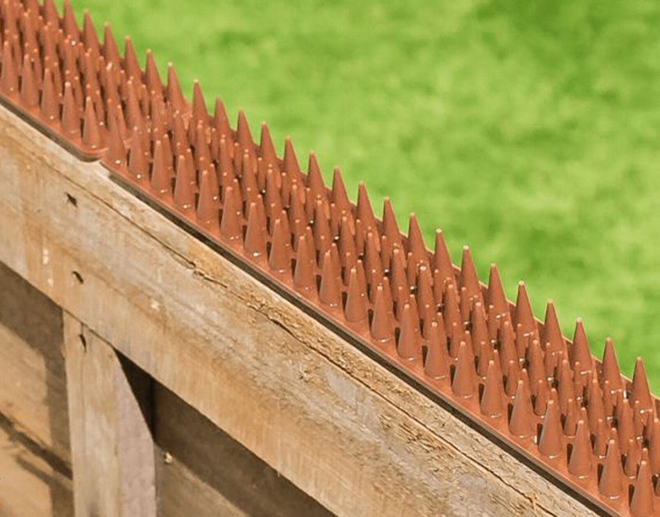 Bird & Cat Deterrent Prikka Strip
