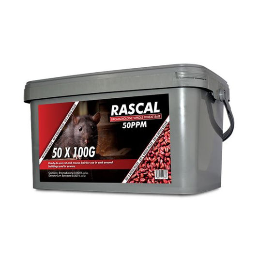 Rascal Bromadiolone Whole Wheat 50x100g sachets