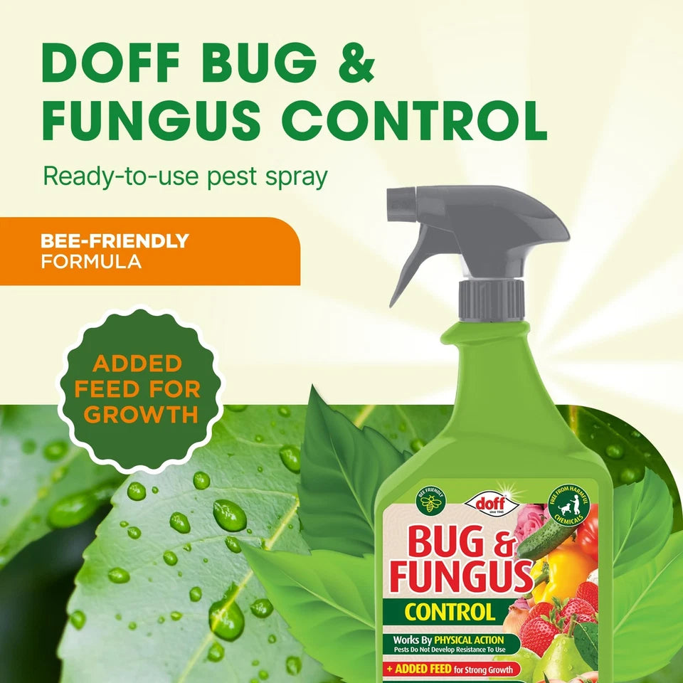 Bug & Fungus Control