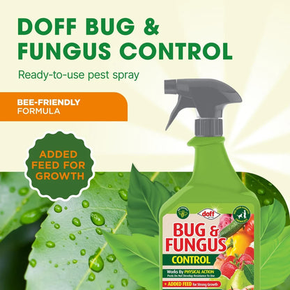 Bug & Fungus Control