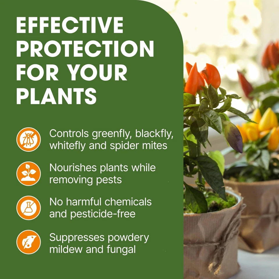 Bug & Fungus Control