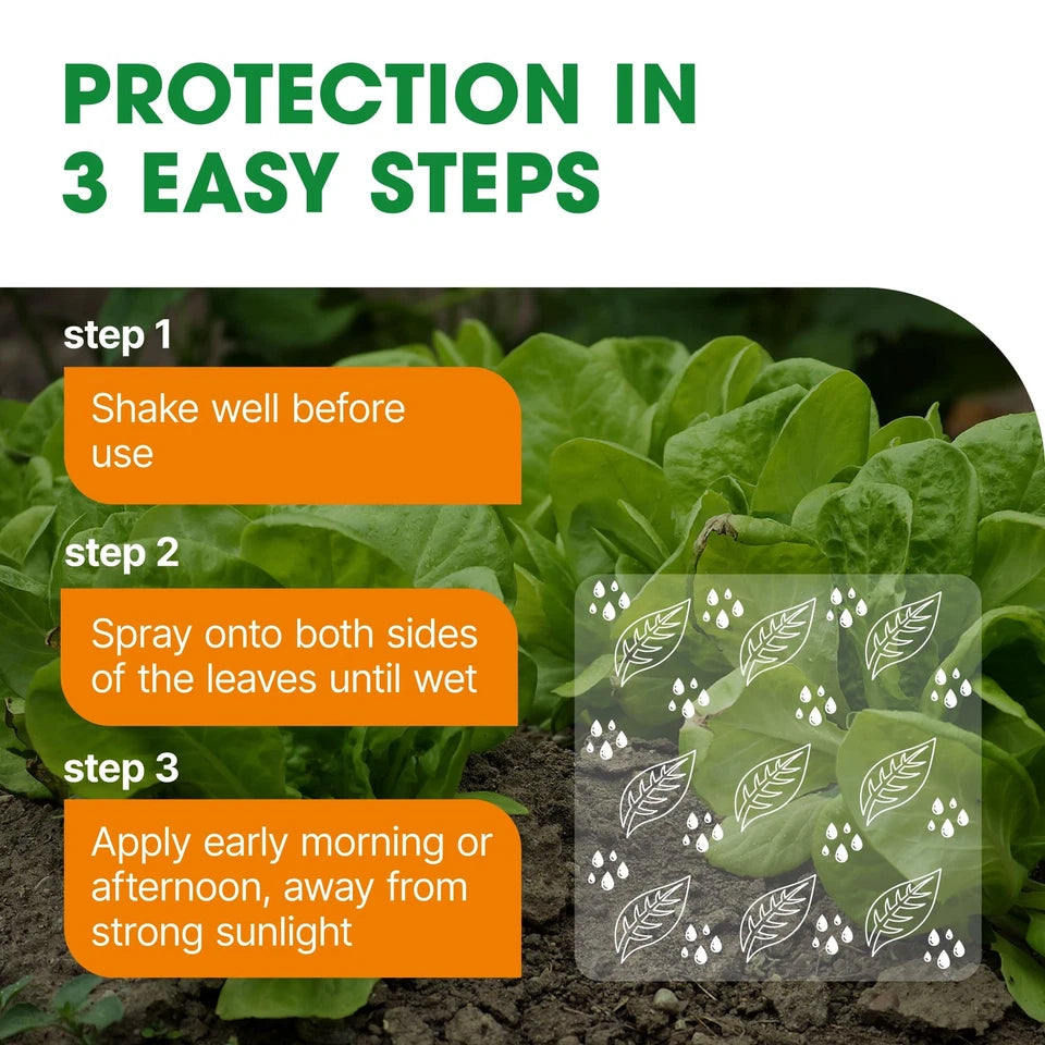 Bug & Fungus Control