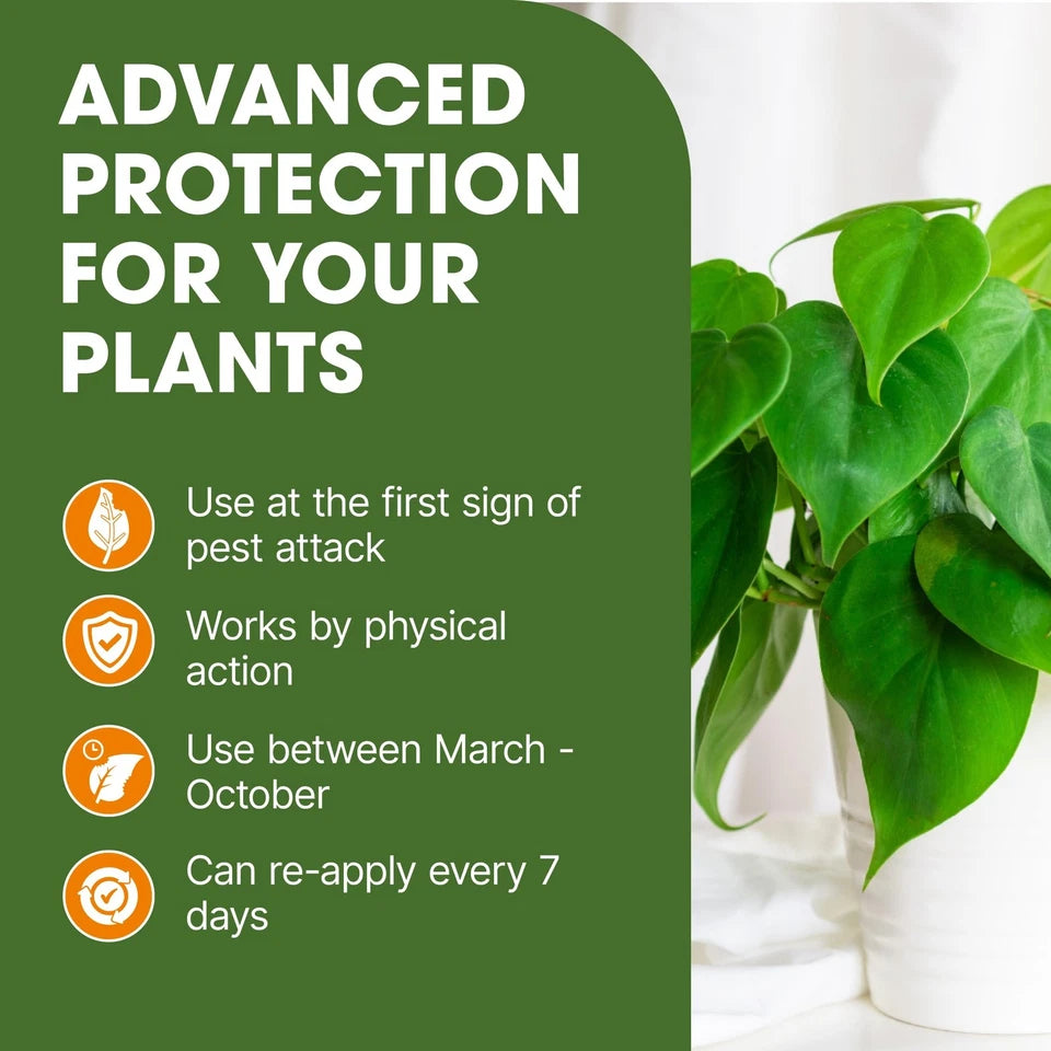Bug & Fungus Control