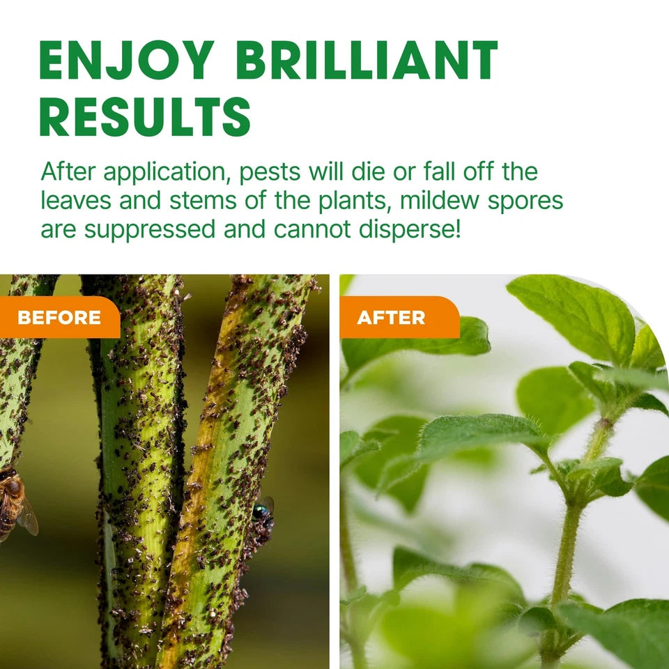Bug & Fungus Control