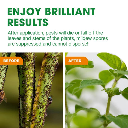 Bug & Fungus Control