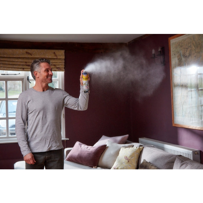 Fly & Wasp Killer Aerosol