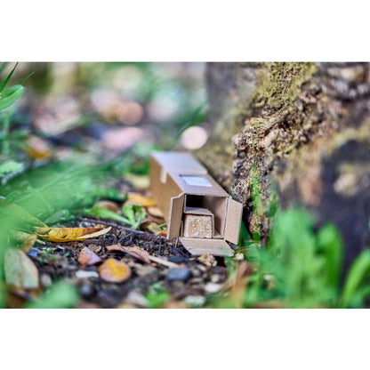 Free to Go Biodegradeable Multi Catch Mouse Trap Twinpack