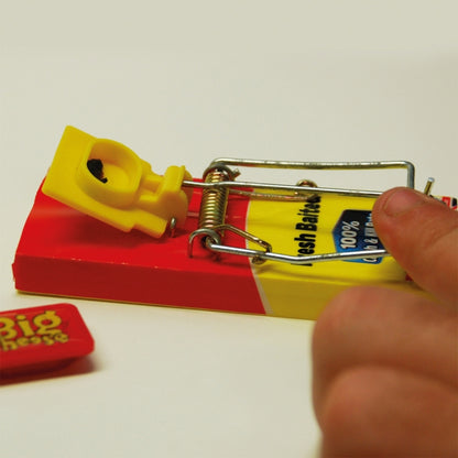 Fresh Baited Mouse Trap - Twinpack