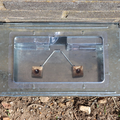Free To Go Re-Usable Multi Catch Mouse Trap