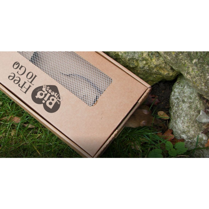 Free to Go Biodegradable Multi Catch Mouse Trap