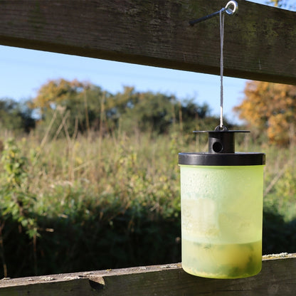 Ready-Baited Wasp Trap