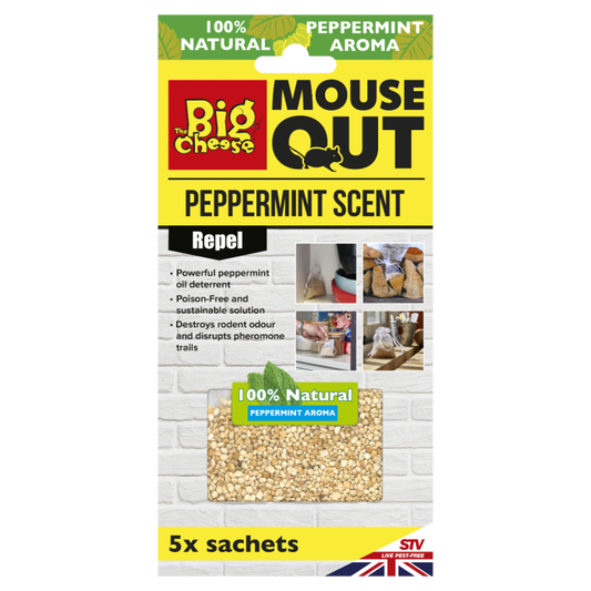 The Big Cheese Mouse Out Peppermint Scent Repeller