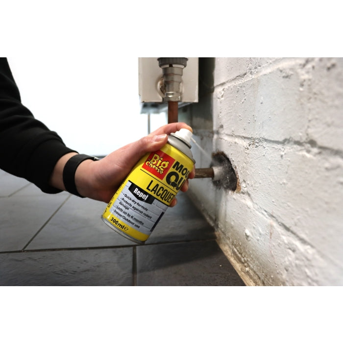 The Big Cheese Mouse Out Lacquer Aerosol