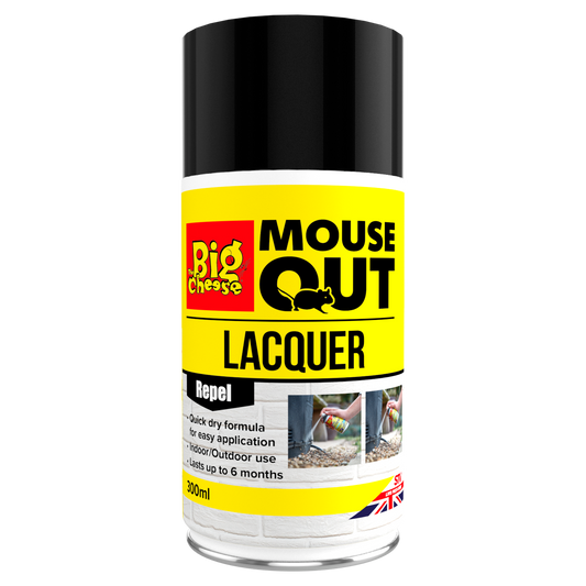 The Big Cheese Mouse Out Lacquer Aerosol