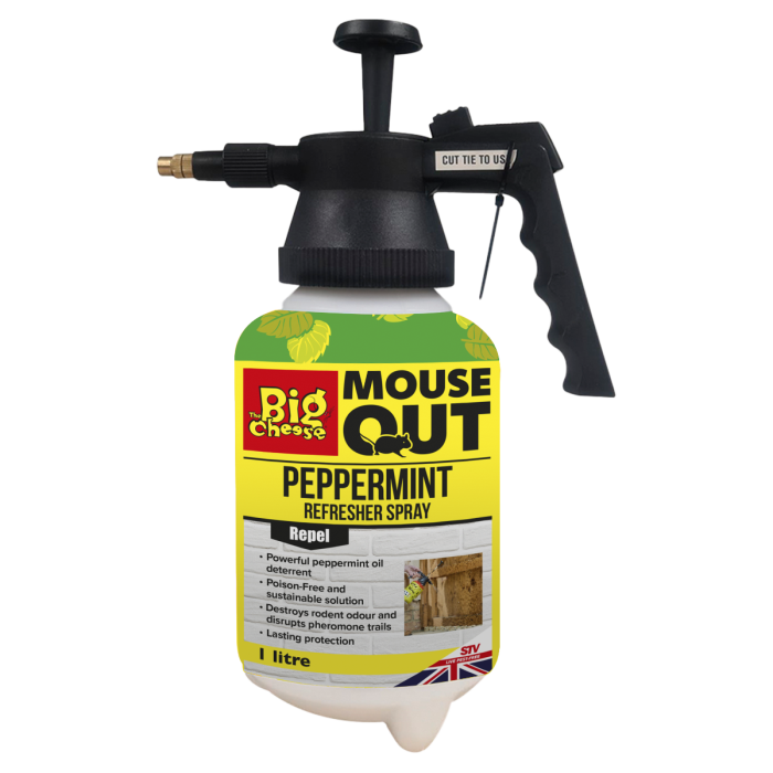 Mouse Out Peppermint Refresher Spray - RTU